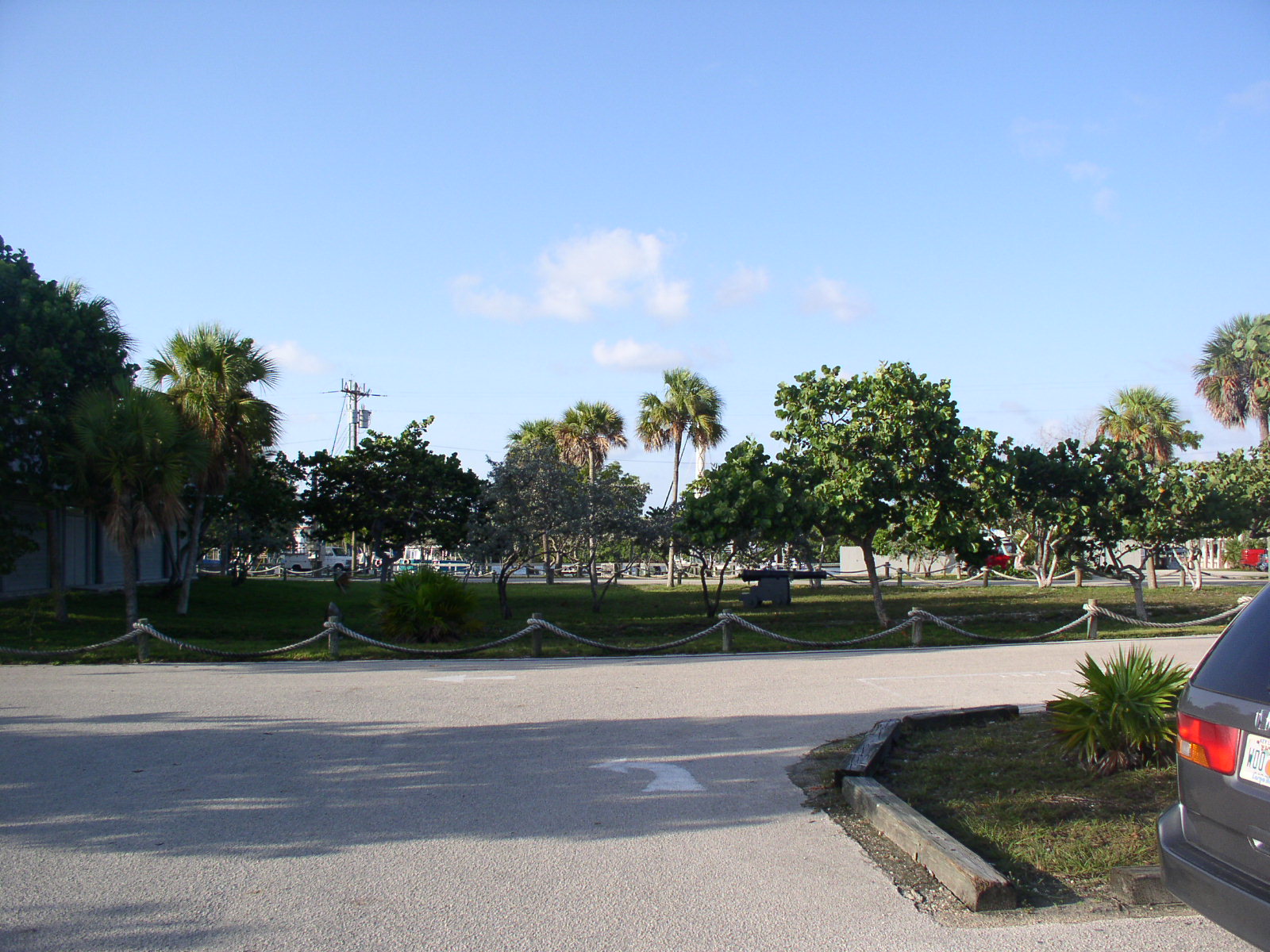photo1